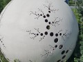 20190729 102506