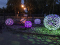 IMG 4887