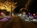 IMG E5425